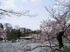 井の頭池