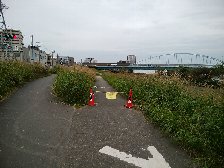 国道1号線はくぐれない