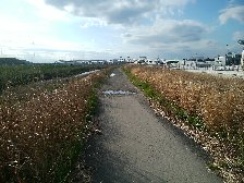 未舗装部分