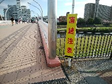 鴨池人道橋