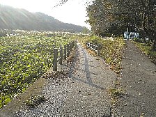 秋です