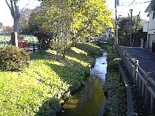 千川上水