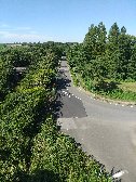 秋ヶ瀬公園内通行可