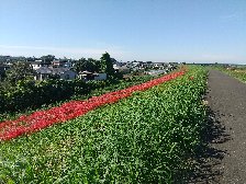 右岸も見事