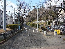 周回道路への道