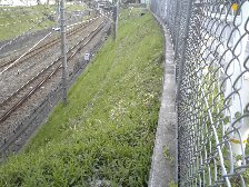 甲州街道付近