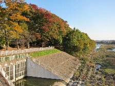 永田橋からの眺め