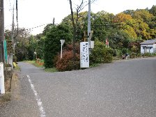 分かれ道