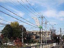 黒目川