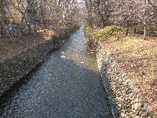 玉川上水