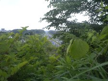 尾根緑道