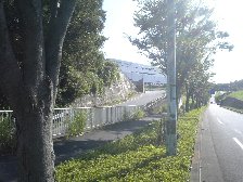 鶴見川源流への道