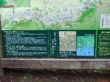 よこやまの道