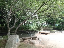 次大夫堀公園