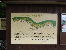 案内図