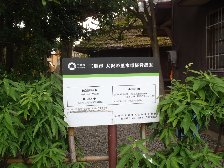 大沢の里水車経営農家