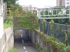 京王線