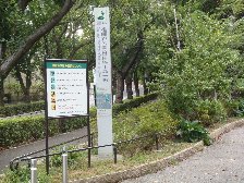 祖師谷公園