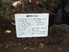 遅野井