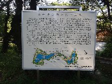 生い立ち