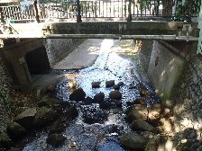 神田川