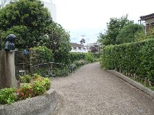 北沢川緑道