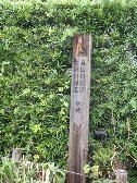 合流地点