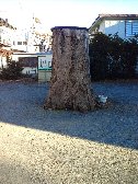 八坂神社