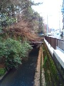 丸子川