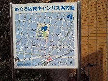 緑の散歩道