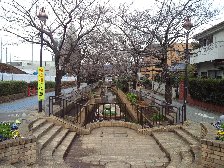 呑川緑道
