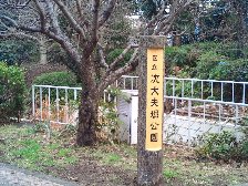 次大夫堀公園