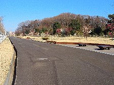 広い道