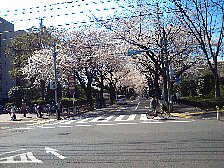 武蔵野市役所前