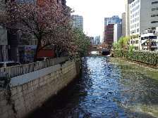 目黒川
