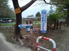 名物ジェラート