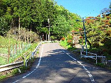 中山通り