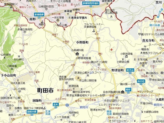 全景