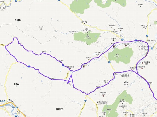全景