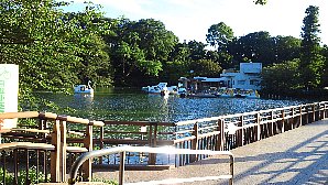 井の頭池