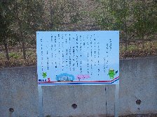 文理の桜河童