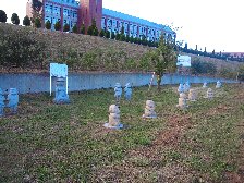 文理の桜河童