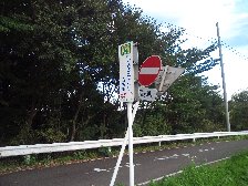 カタクリ自生地