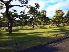 松並木