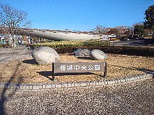 くじら