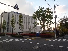 駒沢通り。日体大