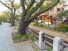 呑川親水公園