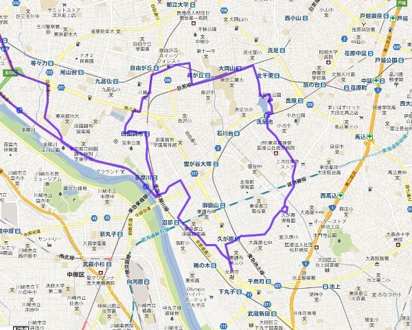 全景
