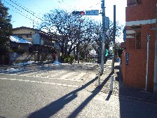 桜坂上