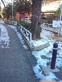 九品仏川緑道